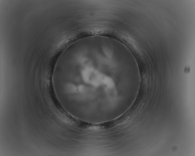 X0000094900499200711291235