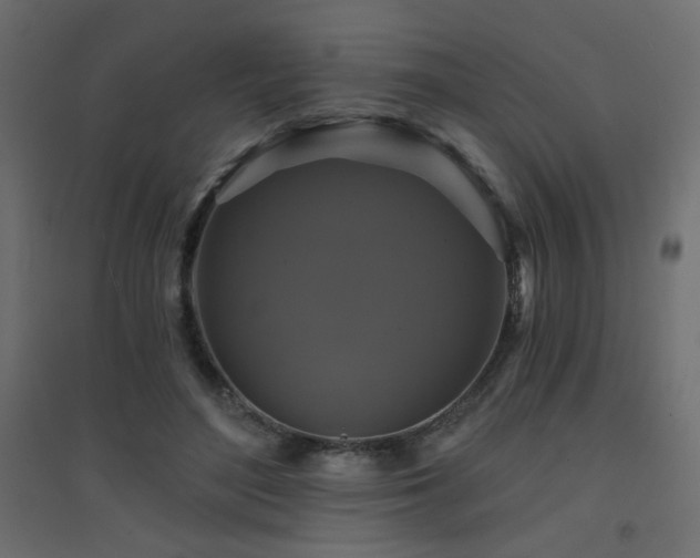X0000094900500200711291235