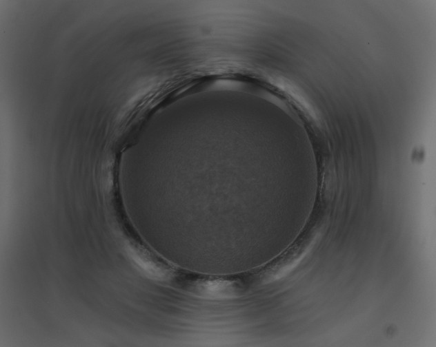 X0000094900501200711291235