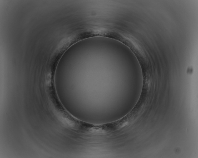 X0000094900502200711291235