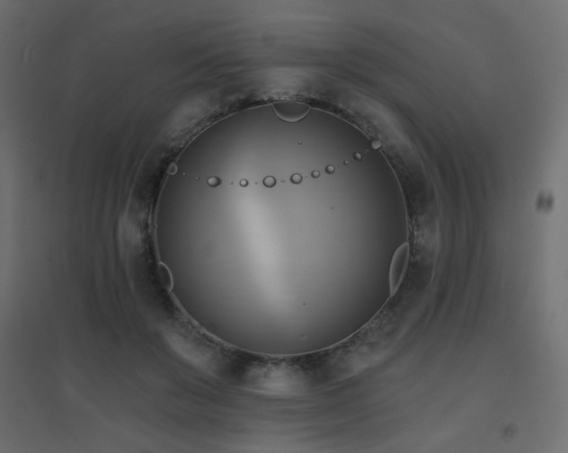 X0000094900503200711291235