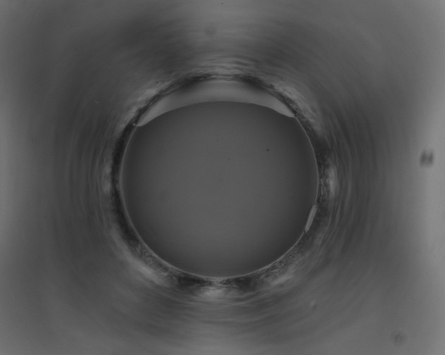 X0000094900504200711291235