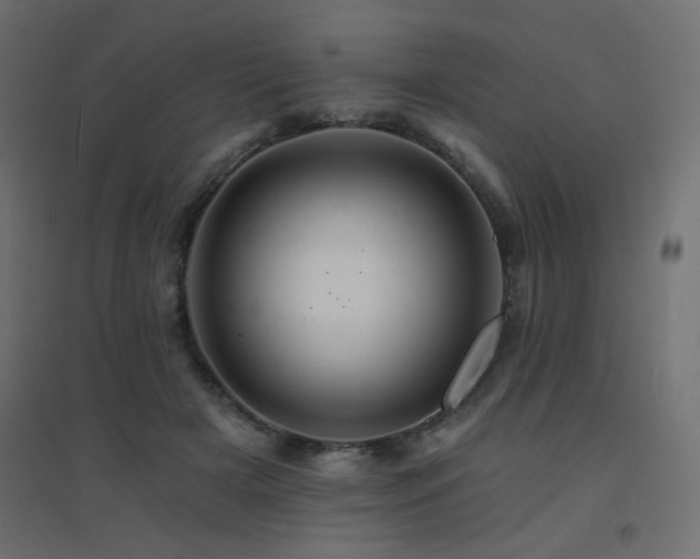 X0000094900505200711291235
