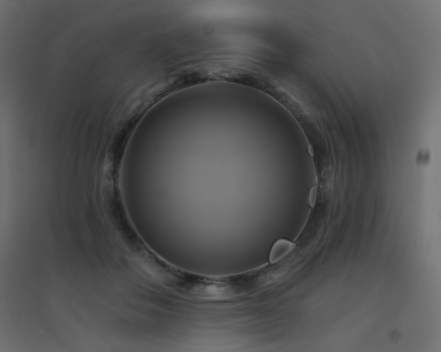 X0000094900506200711291235
