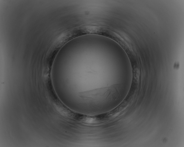 X0000094900507200711291235