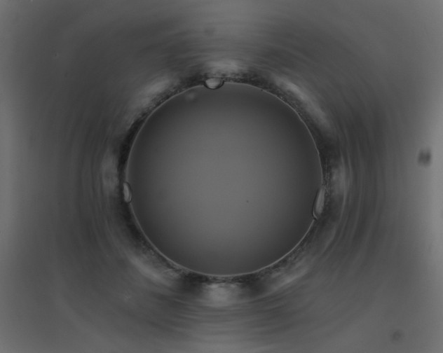 X0000094900508200711291235