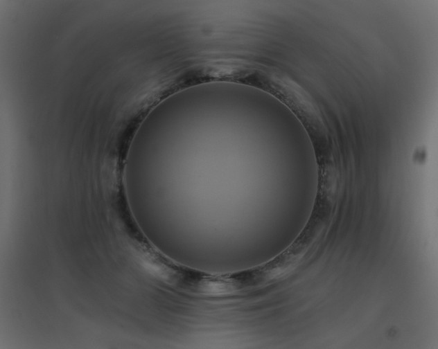X0000094900510200711291235