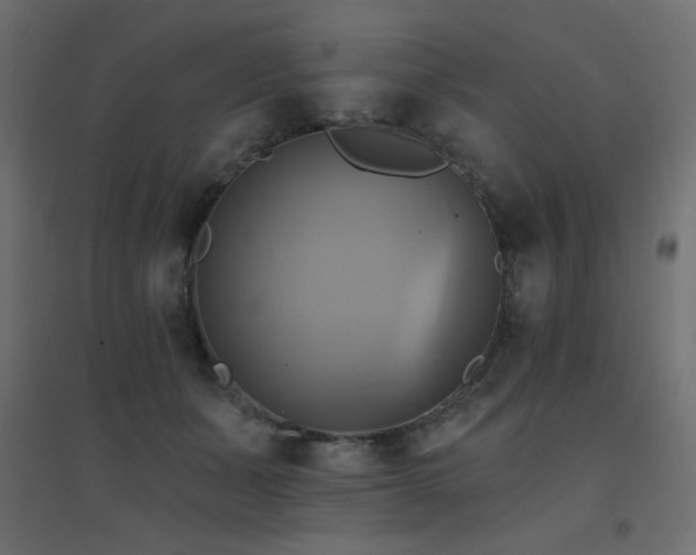 X0000094900511200711291235