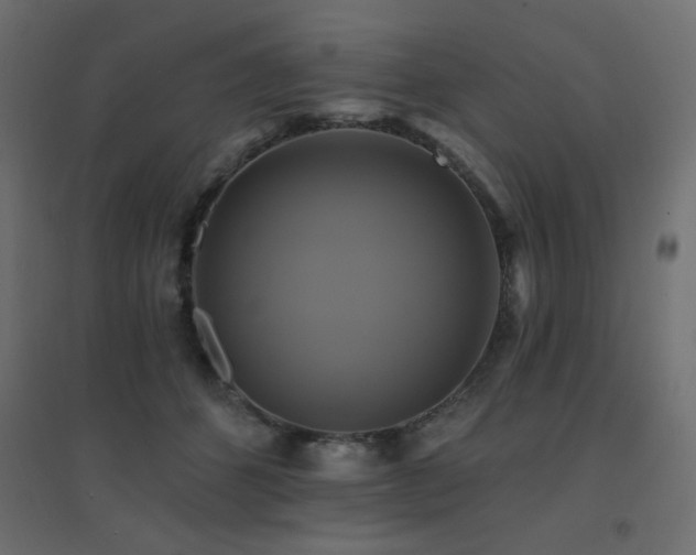 X0000094900512200711291235