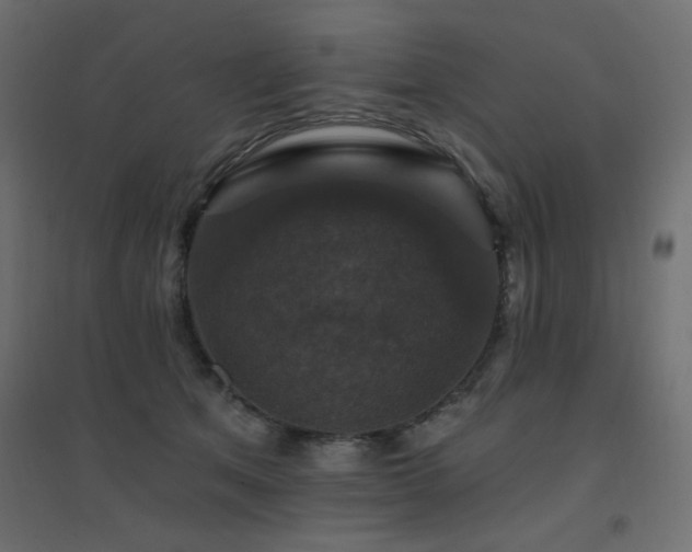 X0000094900513200711291235