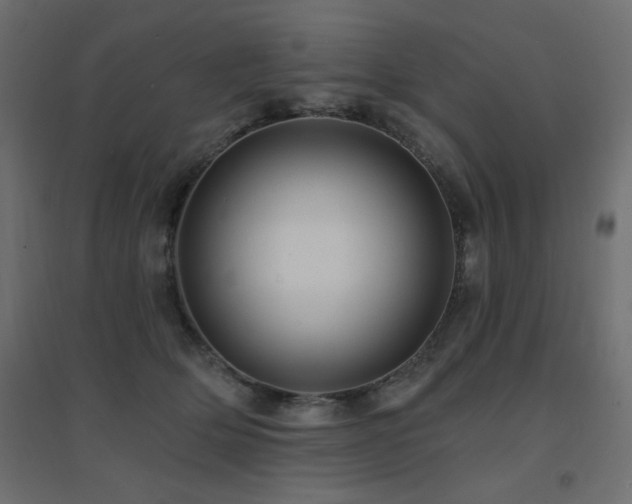 X0000094900514200711291235