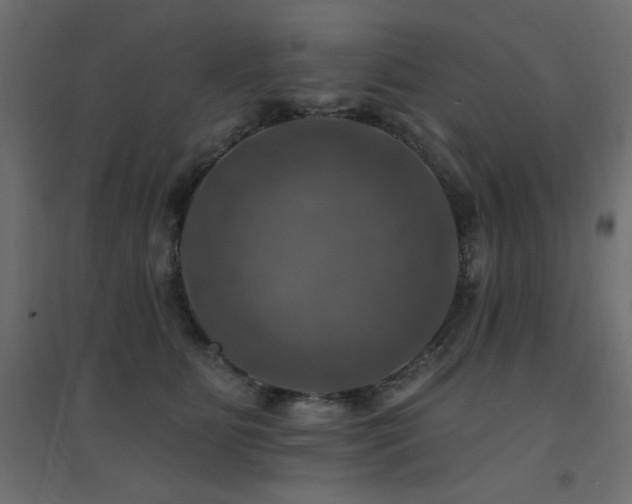 X0000094900515200711291235