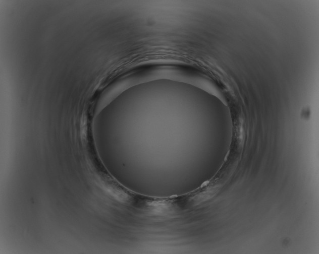 X0000094900516200711291235