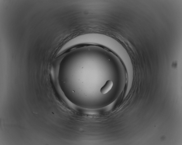 X0000094900517200711291235