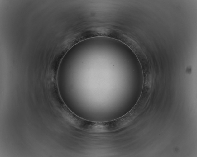 X0000094900518200711291235