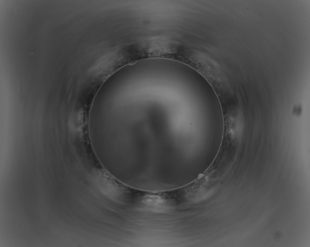 X0000094900519200711291235