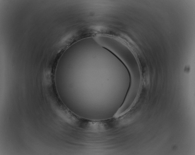 X0000094900520200711291235