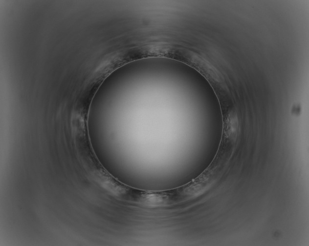 X0000094900522200711291235
