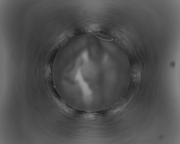 X0000094900523200711291235