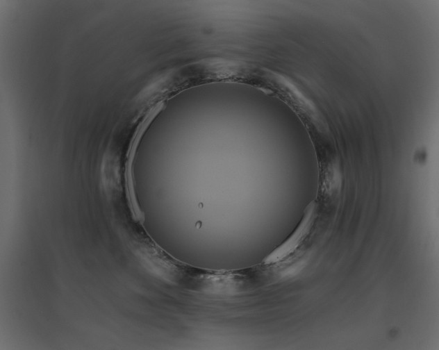 X0000094900524200711291235