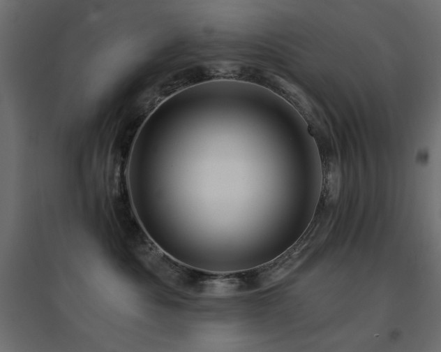 X0000094900525200711291235