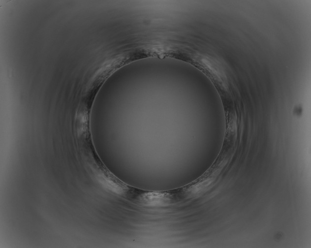 X0000094900526200711291235