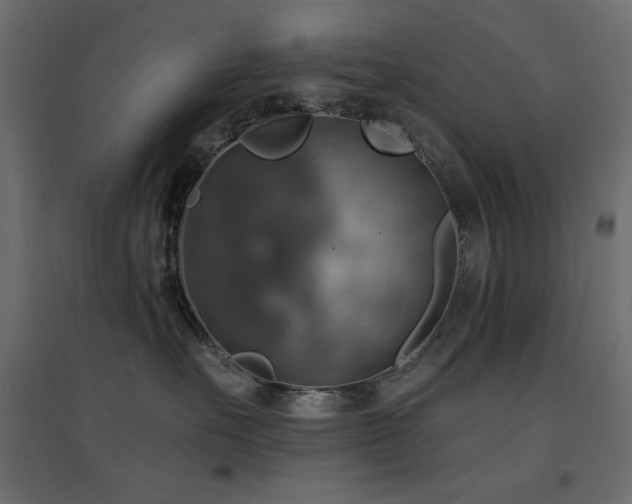 X0000094900527200711291235
