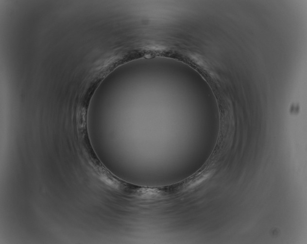 X0000094900528200711291235