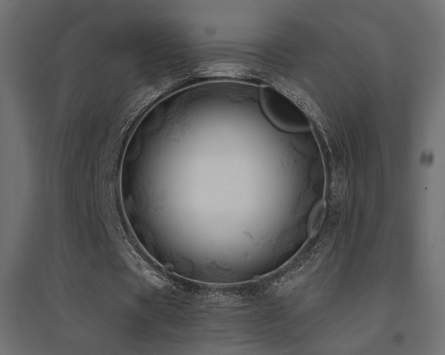 X0000094900529200711291234