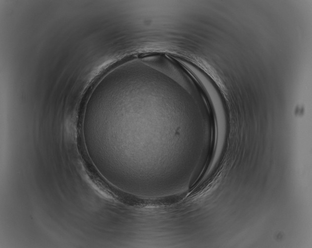 X0000094900530200711291234