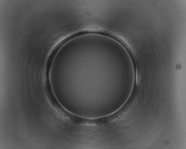 X0000094900531200711291234