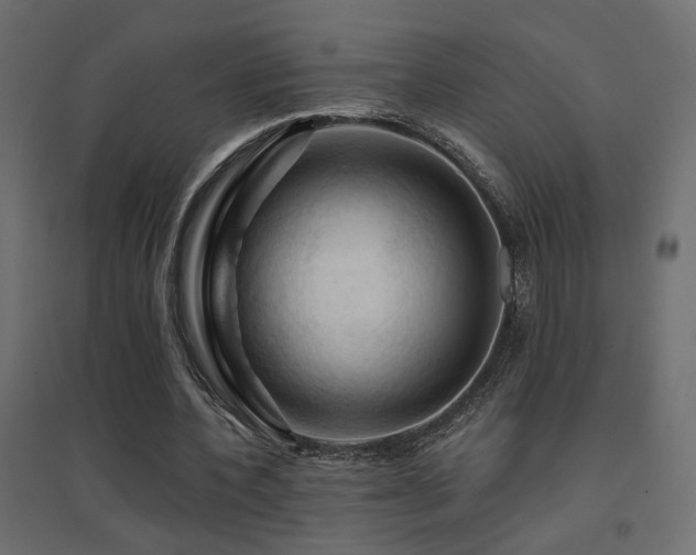 X0000094900532200711291234