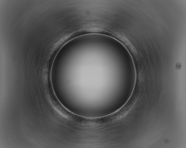 X0000094900533200711291234