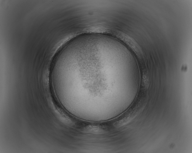X0000094900534200711291234