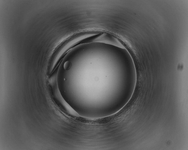 X0000094900535200711291234