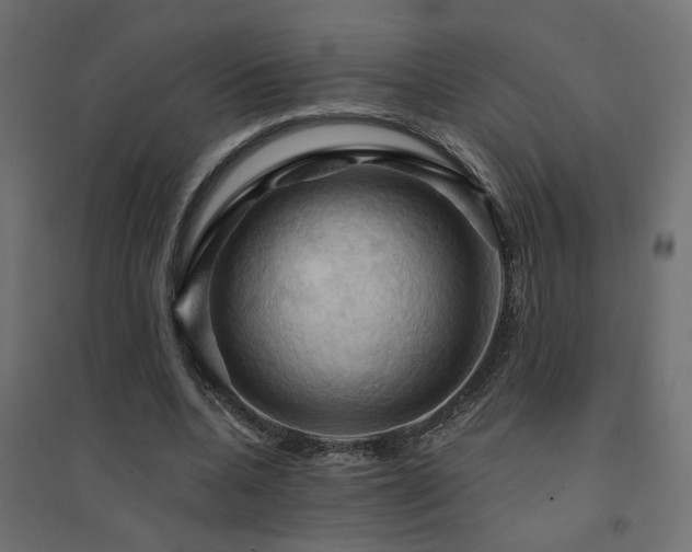 X0000094900536200711291234