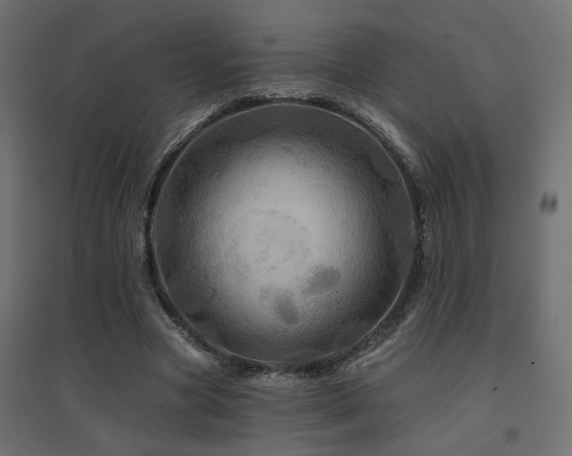 X0000094900537200711291234