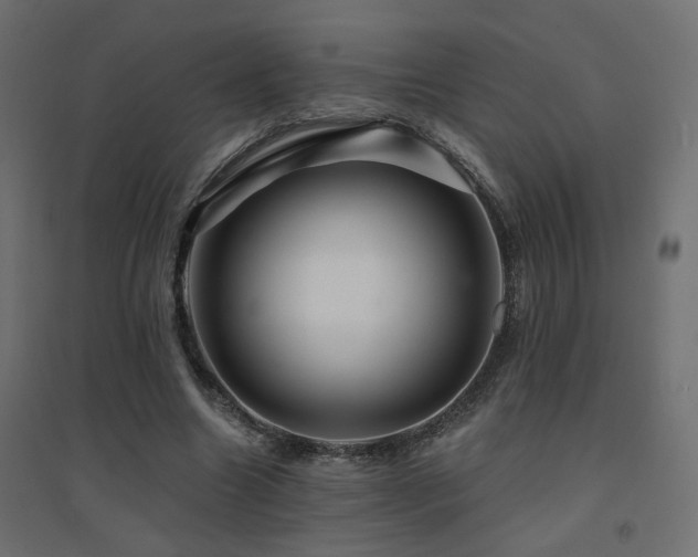 X0000094900538200711291234