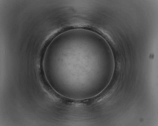 X0000094900539200711291234