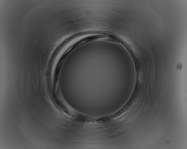 X0000094900540200711291234