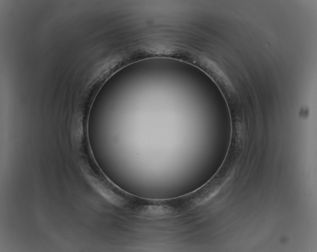 X0000094900541200711291234