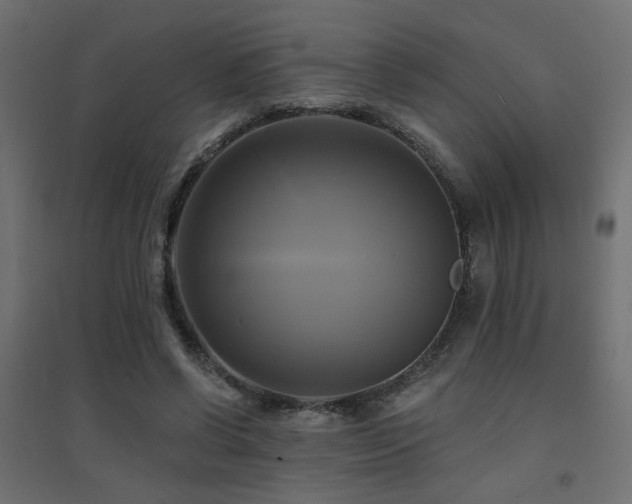 X0000094900542200711291234