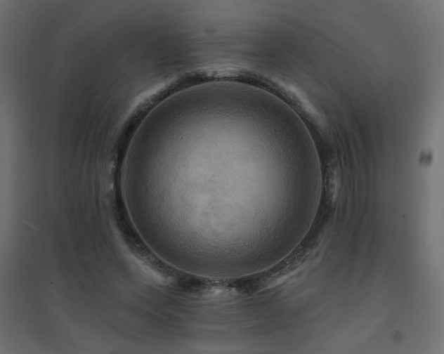X0000094900543200711291234