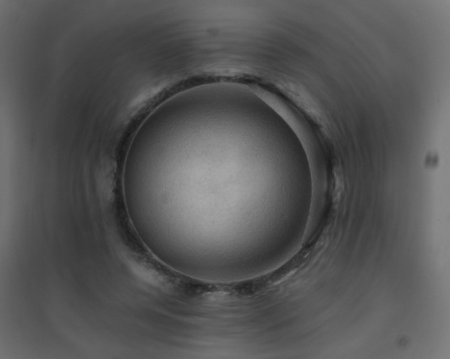 X0000094900544200711291234