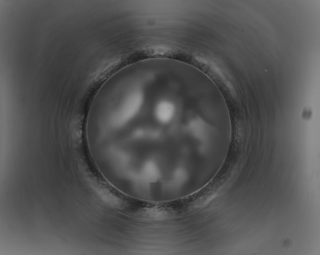 X0000094900545200711291234