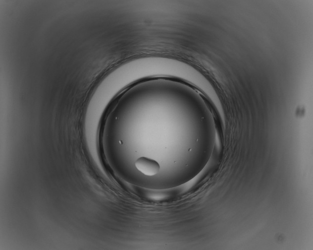 X0000094900546200711291234