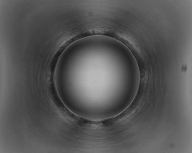 X0000094900548200711291234