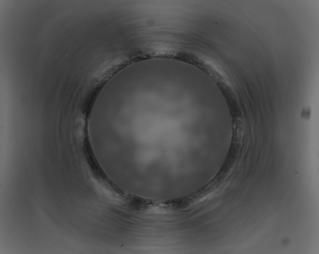 X0000094900550200711291235