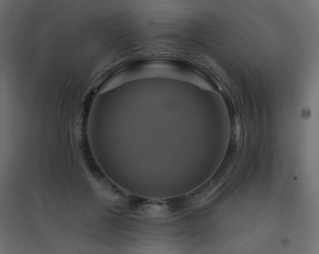 X0000094900552200711291235