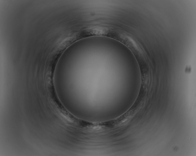 X0000094900553200711291235